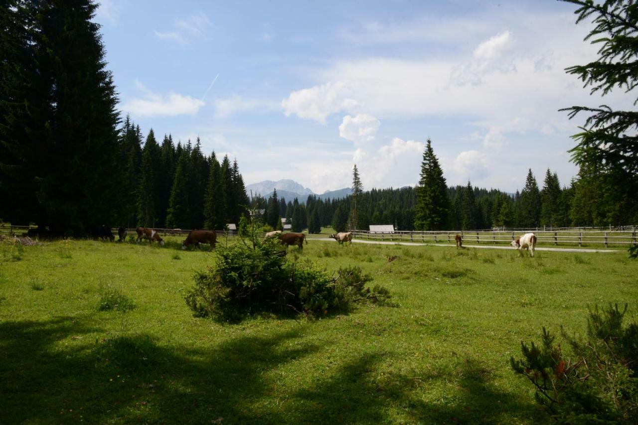 Villa Pocitniska Hisa Jurcek Pokljuka Goreljek Exterior foto